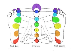chakra+ PIEDS